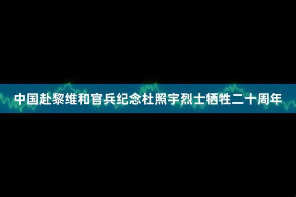 中国赴黎维和官兵纪念杜照宇烈士牺牲二十周年